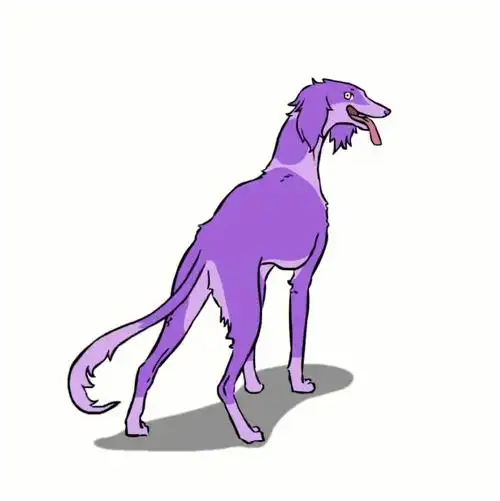 紫毛哮天脱毛紫哮天七彩小公主哮天