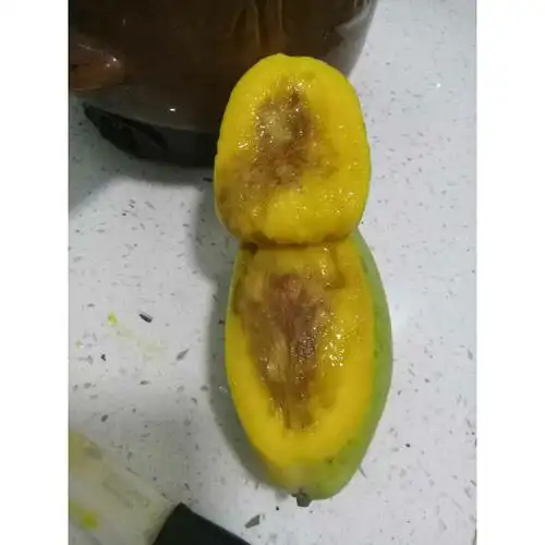 领券减10元米又农家新鲜青皮芒果金煌芒5斤装