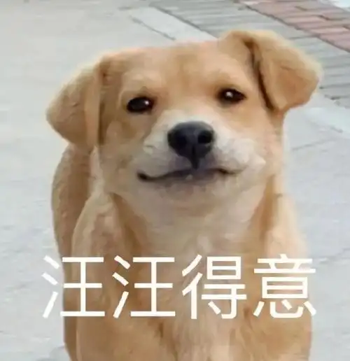 这组聊天表情包 真的太有趣啦