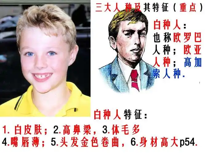 世界人种(改)ppt