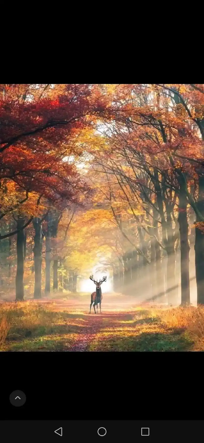 唯美意境 #诗与远方 #敬畏自然 #神仙滤镜  - 抖音