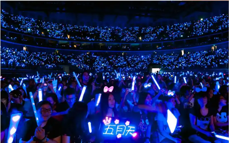 15色led分区遥控荧光棒 万人演唱会助威道具dmx点场控闪光发光棒