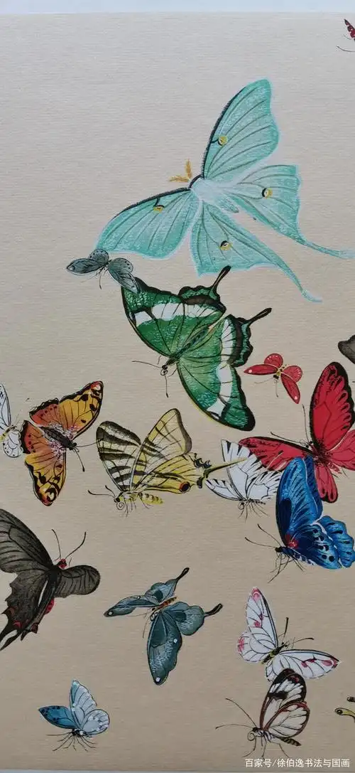 再画一幅绚丽多彩的百蝶图