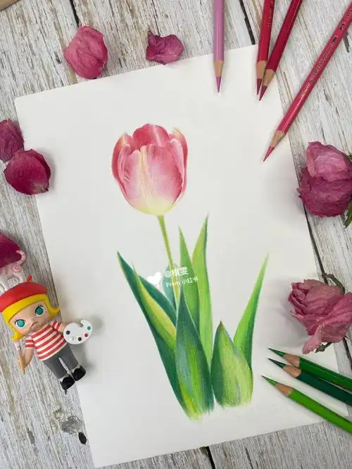 彩铅唯美花卉训练营第一课郁金香