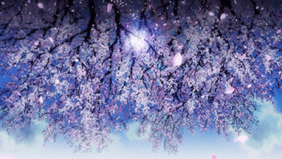 动画gif 唯美浪漫 飘落的樱花