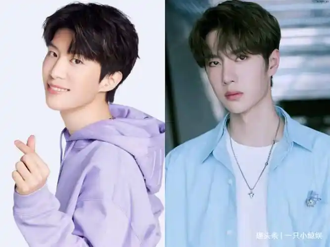 曝乐华用王一博的职粉带范丞丞,打造下一个顶流_作品_公司_什么