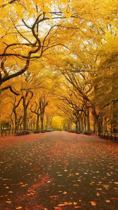 漂亮的风景图漂亮的风景图片最美大自然