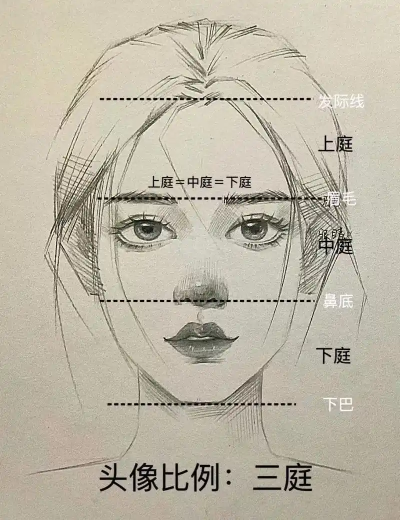 素描头像起型比例详细讲解#素描 #人物素描 #绘画过程分享  - 抖音