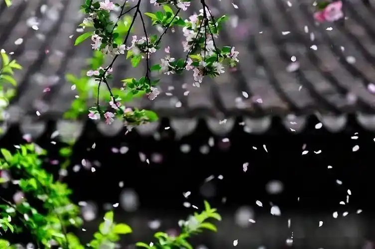 句子当我真心在追寻我的梦想时每一天都是缤纷的