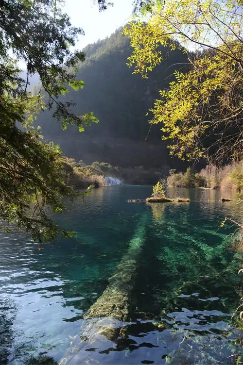 十一月的九寨沟图片137,四川省旅游景点,风景名胜 - 蚂蜂窝图库