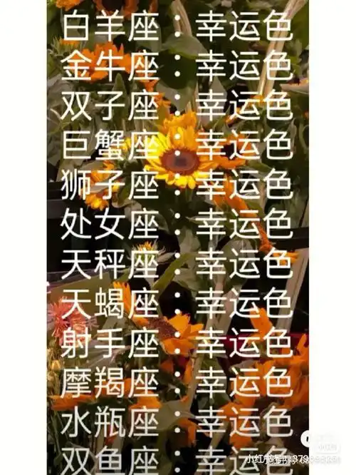 十二星座幸运色