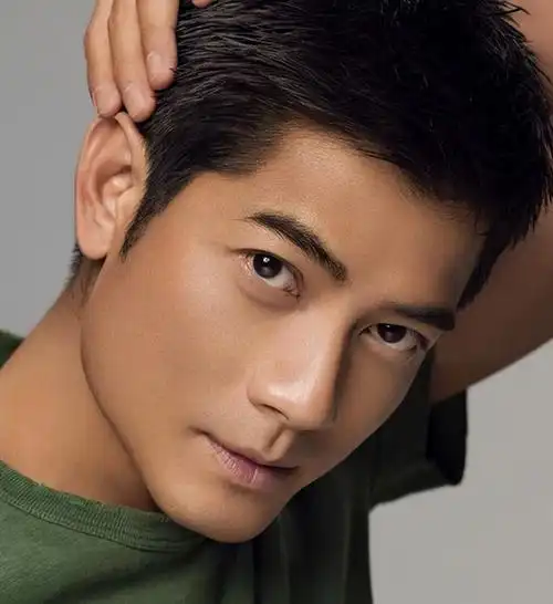 "郭富城澳门格兰披治大赛车:失控的赛车,不变的斗志"