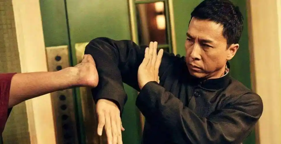 原创宇宙最强甄子丹和一代大侠赵文卓到底谁更厉害