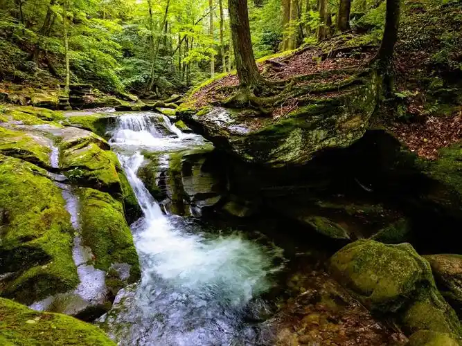 治愈系,疗愈系森林风景,轻音乐,放松音乐,睡眠音乐.