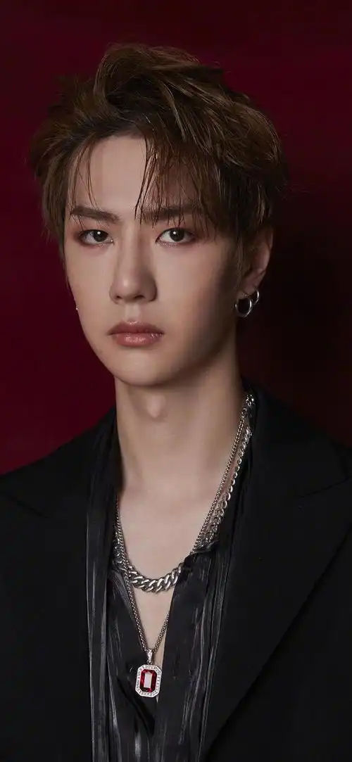 王一博写真高清壁纸(王一博写真高清壁纸全屏最新)-天晟网