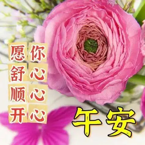 中午好问候中午好祝福中午好图片