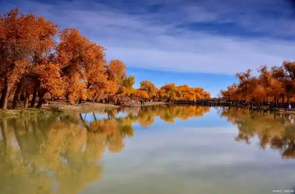 额济纳胡杨林,被誉为中国的旅游胜地,位于内蒙古自治区阿拉善盟境内.