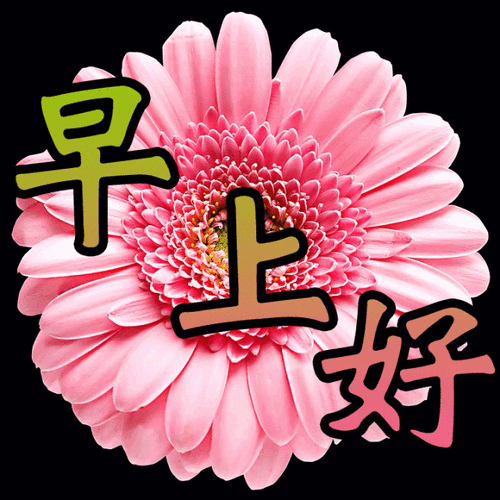 早安~人生坎坎坷坷,跌跌撞撞那是在所难免.