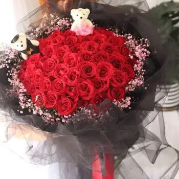 【岚黛岚黛玫瑰花】岚黛 七夕情人节礼物33朵红玫瑰花束鲜花同城配送