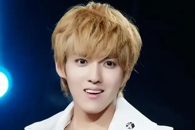 吴亦凡狱中生活后续母亲找过成龙求救生父尝试引渡无果