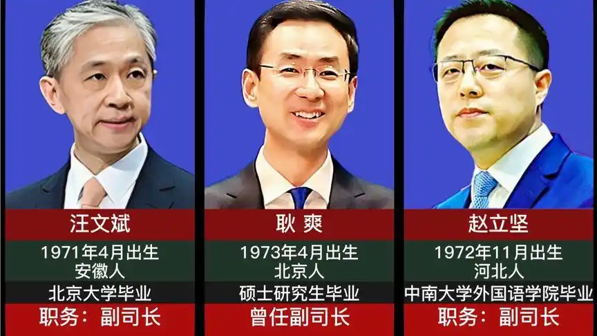 中国新一代"外交天团",各个优雅从容,才华出众