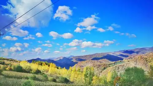 庆双节,赏红叶,生活惬意多彩