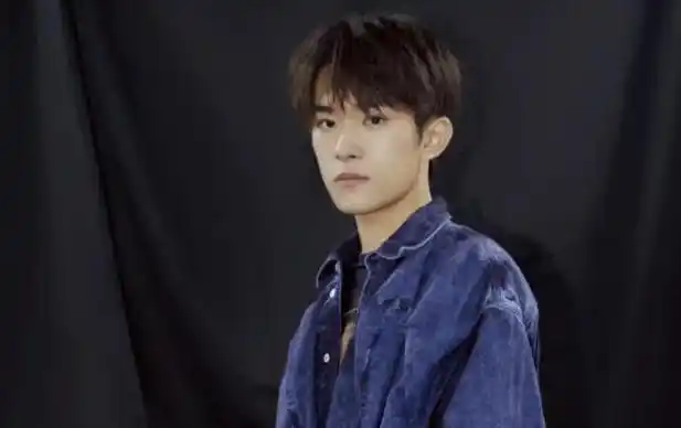 易上捷持股公司被执行388万 疑是易烊千玺父亲 - 明星新闻 - 猪头三