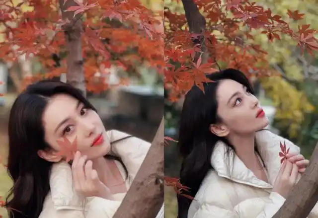 12月16日,军嫂女神张馨予通过社交账号更新动态,晒出一组四宫格侧颜美