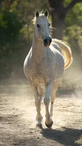 1200_2135竖版 竖屏