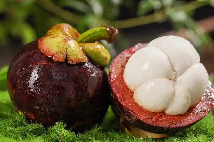 水果皇后精选推荐泰国空运山竹