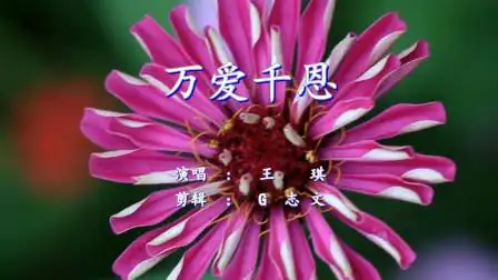 《万爱千恩》千恩万宠的父母情 触动心弦 愿天下父母健康长寿-音乐