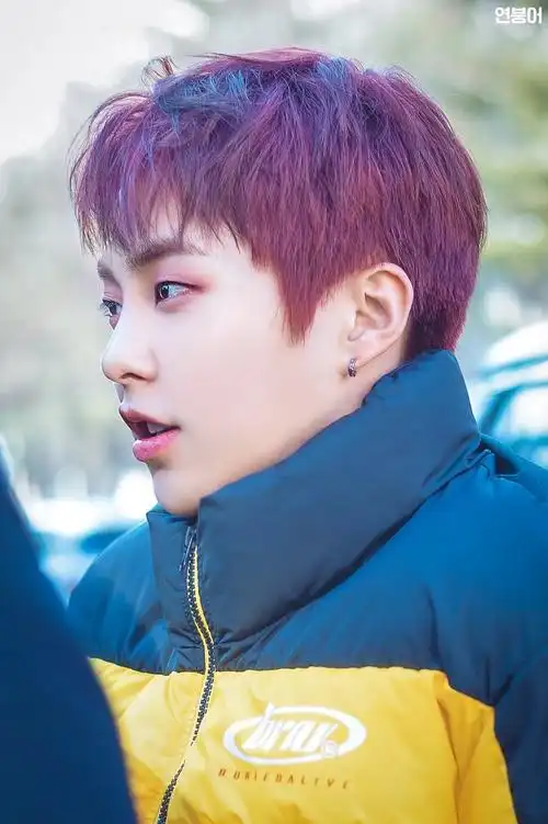 exo xiumin 金珉锡