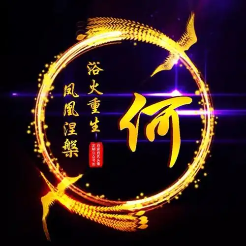 姓向的名人_姓严的名人_姓龙的名人