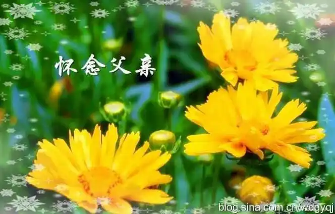 我父亲走了,永远的走了.