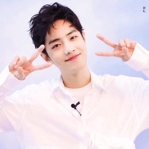 ℒℴѵℯ*¨*• ♡我爱肖战