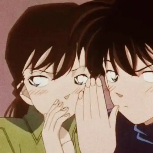 毛利兰/工藤新一