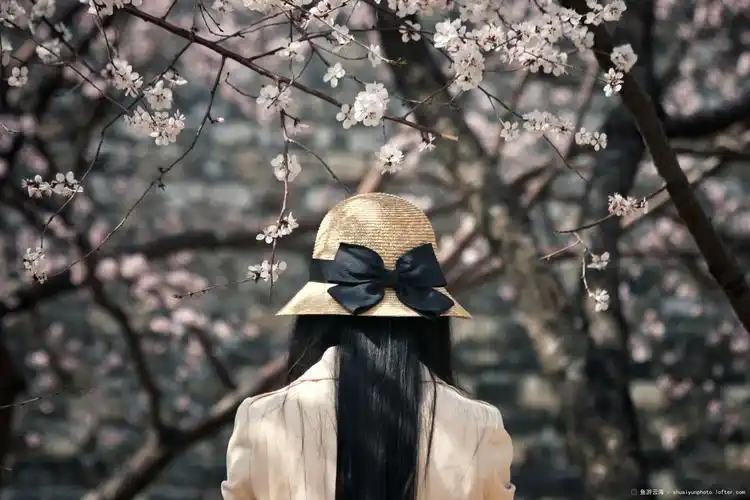 【赏花】 无意间抓拍的背影~-鱼游云海