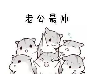 最近很火的表情包 撩老公仓鼠系列又简单又好看的柴犬表情包简笔画