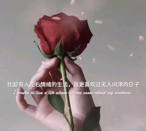 深夜伤感个性签名,刻骨入心,我不讨厌爱情,只是痛恨结局!