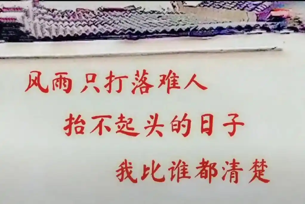 扎心 风雨只打落难人,太不起头的日子,我比谁都清楚……#原 - 抖音