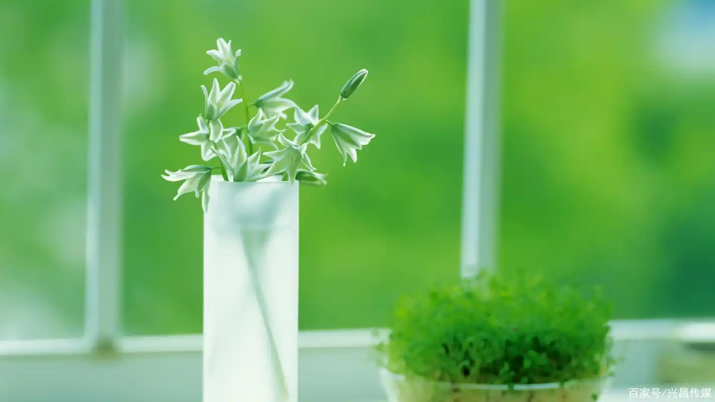 2020年微信红包的新玩法,让你引爆朋友圈!