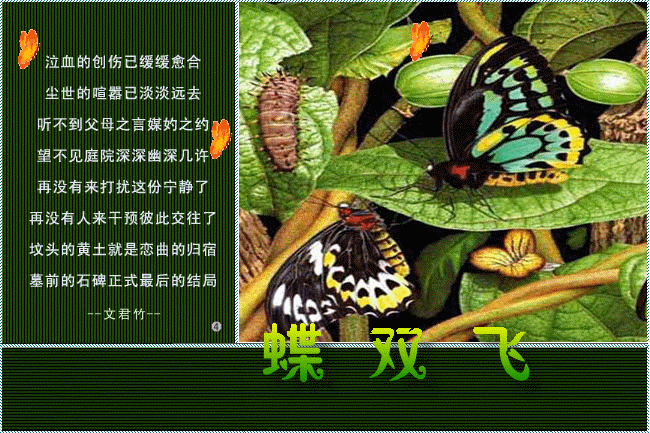 650_433gif 动态图 动图