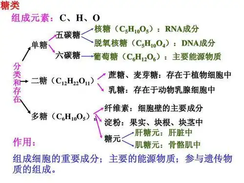 糖类的定义分类存在形式纤维素的性质详细信息