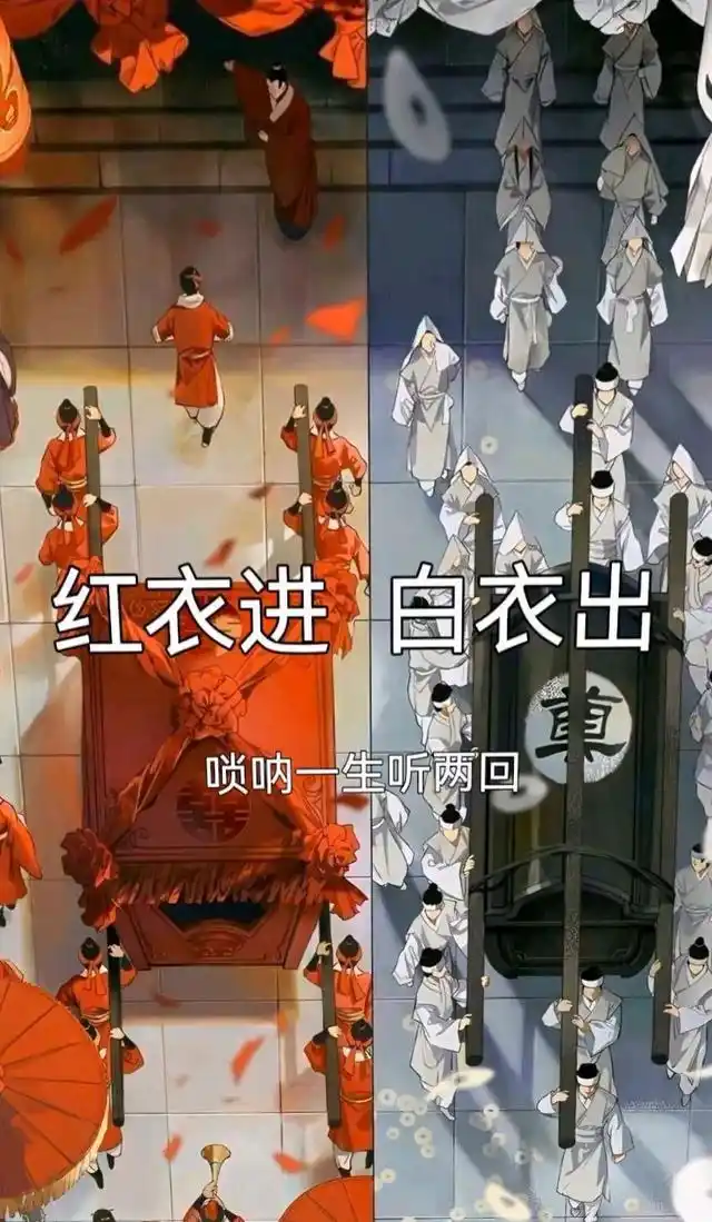 红衣进白衣出