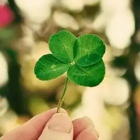 让你好运爆满的幸运草头像lucky可爱点