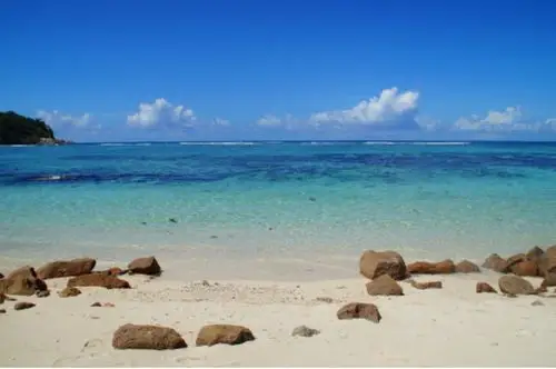 关于生命和死亡最深刻的㝢言-读《天蓝色的彼岸》有感 - 美篇