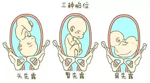 一般来说,怀孕16周后,孕妇能用胎心仪听到胎儿的心跳声