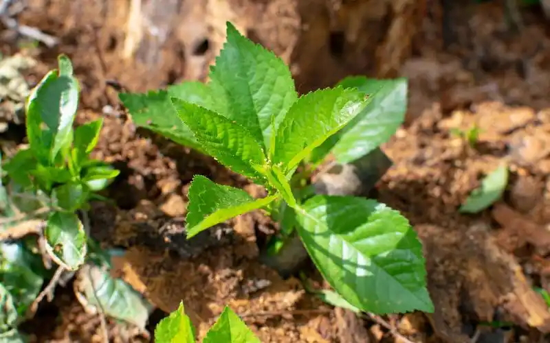 2021我的摄影碎片集