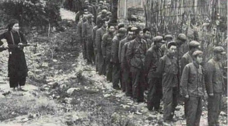 中越战争,当时448团为何要全团投降?10年后团长说出真实原因