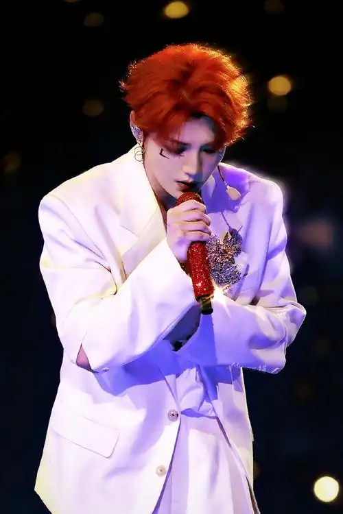 鹿晗三巡演唱会